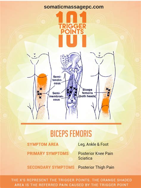 Pin On Trigger Point Therapy