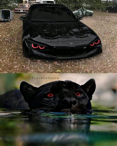 Black Panther : r/car