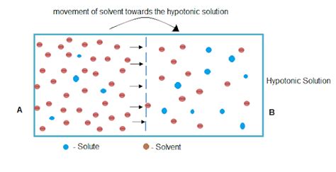 Hypotonic Solution