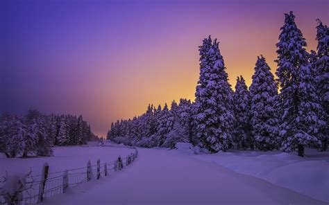 Winter Wallpaper 080 - [1920x1200]