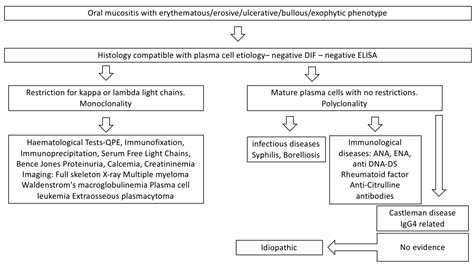 Jcm Free Full Text Pitfalls And Challenges In Oral Plasma Cell