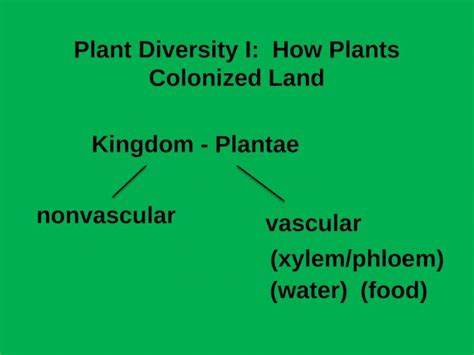 Pptx Plant Diversity I How Plants Colonized Land Dokumen Tips