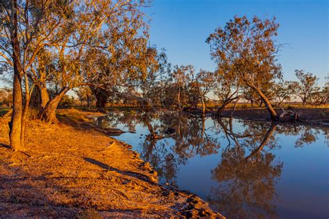 Dubbo And Surrounds Peter Abery