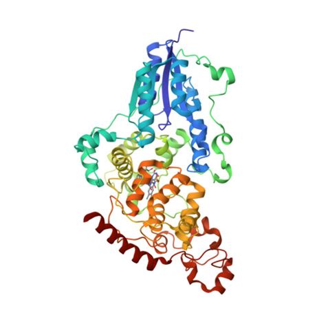 RCSB PDB 7AZT X Ray Crystallographic Structure Of 6 4 Photolyase