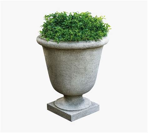 Liana Urn Planter Pottery Barn