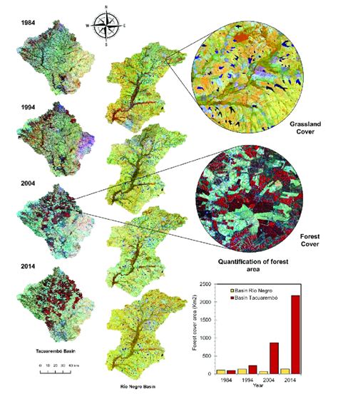 Analysis Of The Spatial Dynamics Of Vegetation Of Four Moments In The