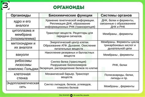 Пин от пользователя V_B ♡♡♡ на доске мед‍⚕️ | Уроки биологии, Учитель ...