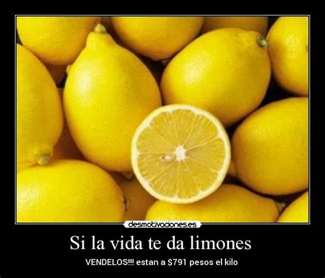 Si La Vida Te Da Limones Desmotivaciones