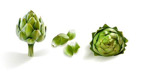 Premium Vector Artichoke Realistic 3d Vector Set Shiny Glossy Artichokes Side View Cutted