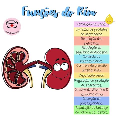 Dentre As Funções Hormonais Dos Rins Estão Relacionadas à