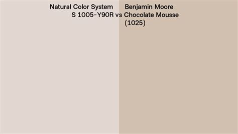 Natural Color System S 1005 Y90R Vs Benjamin Moore Chocolate Mousse