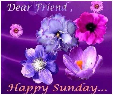 Dear Friend Happy Sunday Pictures Photos And Images For Facebook