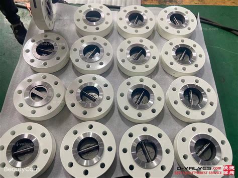 Wafer Check Valve News J Valves