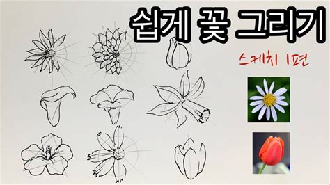 쉽게 꽃그리기 1편 초보자를 위한 쉽게 꽃 스케치하는 방법 꽃 잘 그리기 How to draw flowers 꽃