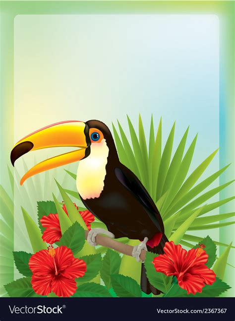 Tropical background with toucan Royalty Free Vector Image