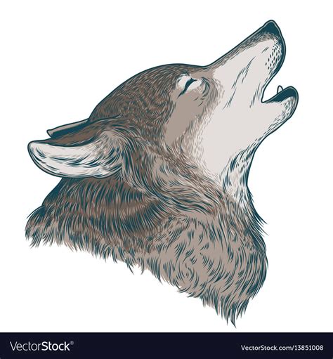 A howling wolf Royalty Free Vector Image - VectorStock