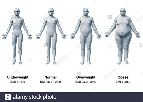 Body Mass Index Overweight Hi Res Stock Photography And Images Alamy