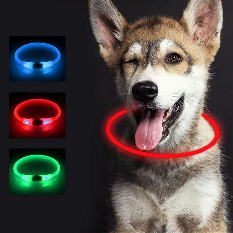 7 Chollos Collar Perro Led Durante El Blackfriday Actualizado 2024