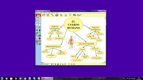 Irene Entrada Mapa Conceptual El Cuerpo Humano