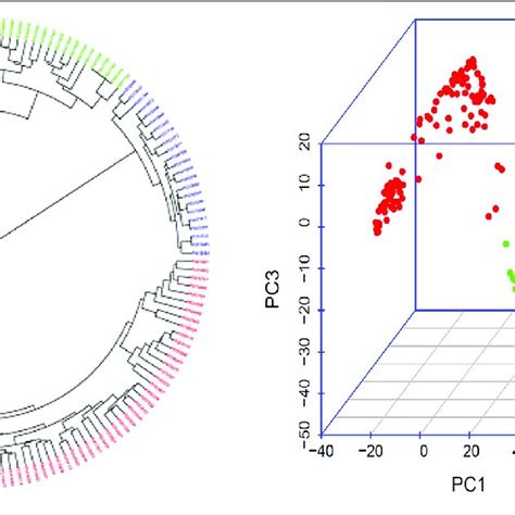 Population Genetic Diversity Analysis In The Association Panel