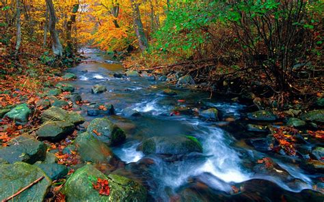 Shenandoah National Park Wallpapers Wallpaper Cave