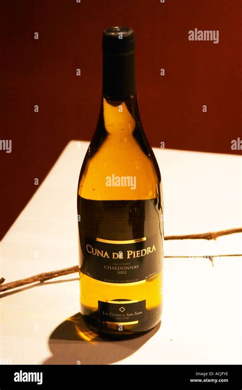 Cuna De Piedra Oak Reserve Chardonnay Los Cerros De San Juan