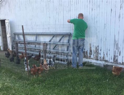 Adding New Chickens Into Your Existing Flock Meyer Hatchery Blog