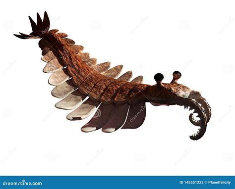 Anomalocaris Creature Of The Cambrian Period Isolated On White