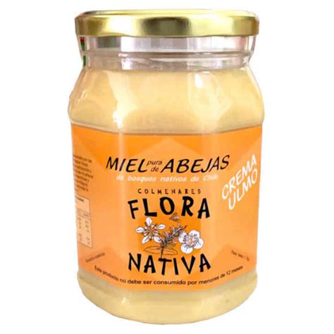 Miel Pura De Ulmo 1 Kilo Flora Nativa Manipura