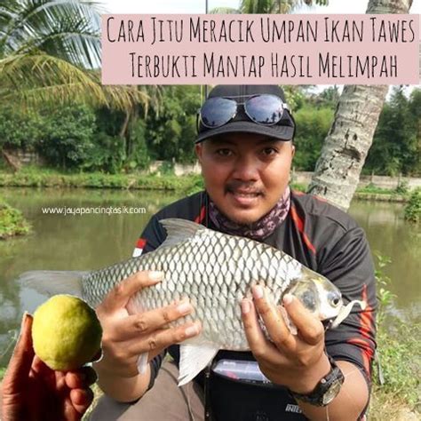 Umpan Putih Ikan Mas MoshetaroCross