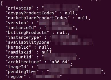 Ec Metadata Instance User Or Dynamic Guilherme Ferreira