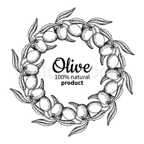 Olive Wreath Drawing at PaintingValley.com | Explore collection of Olive Wreath Drawing