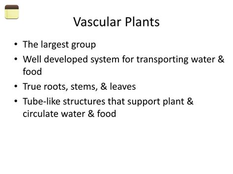 Ppt How Plants Are Classified Powerpoint Presentation Free Download