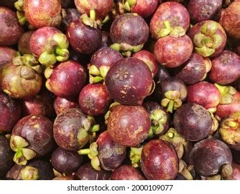 2,104 Mangosteen malaysia Images, Stock Photos & Vectors | Shutterstock