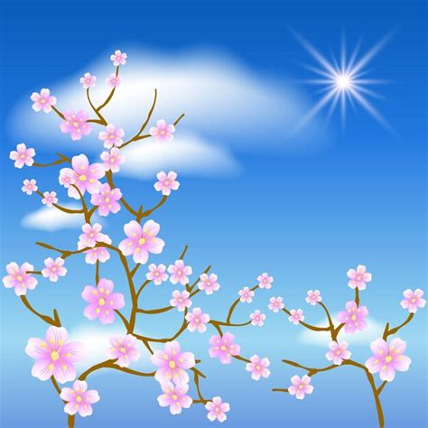 Premium Vector Sakura Blossom On The Blue Sky Background