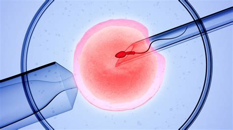 Ivf Myths And Facts Ayushman Hospital And Health Services