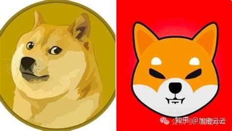 狗狗币（doge）和柴犬（shib）在加密货币市场中攀升——距离高峰还会要多久？ 知乎