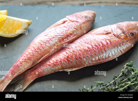 Raw red mullet with ingredients Stock Photo - Alamy