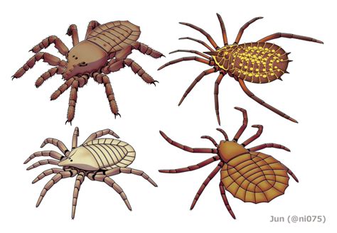 The Evolution of Spiders and Their Remarkable Adaptations - Owlcation