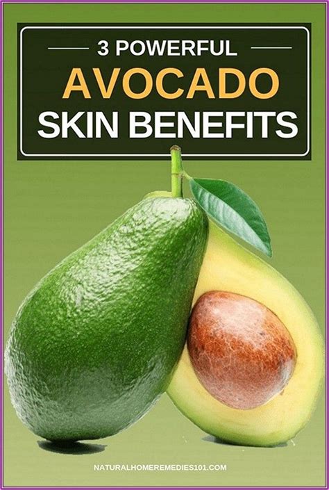 3 Powerful Avocado Benefits For Skin Everything Is Here