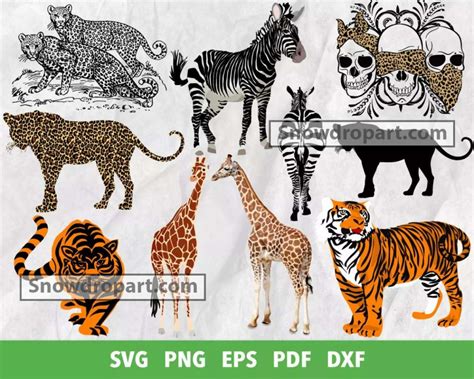 500 Animal Print Svg Bundle Wild Animal Svg Animal Print Svg