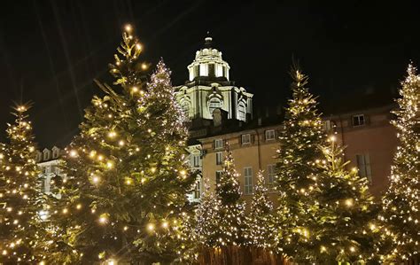 Alberi di Natale a Torino i 5 più belli da vedere assolutamente