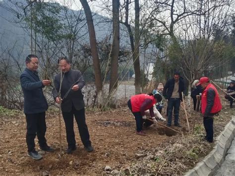 春风拂沃野 植绿正当时丨康县寺台镇开展春季植树活动 Isenlincn