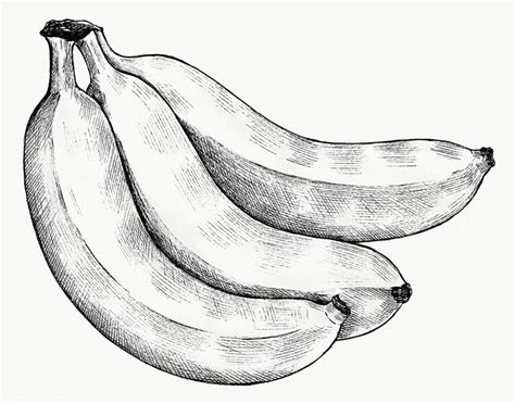 Three Hand Drawn Fresh Bananas Transparent Png Free Image By Rawpixel