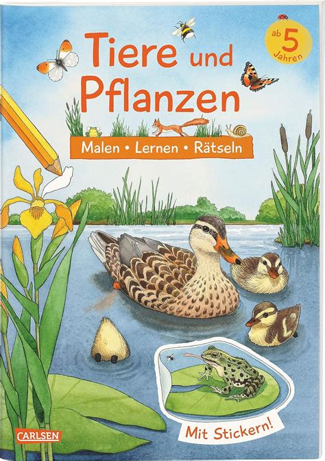 Tiere und Pflanzen Malen Lernen Rätseln Mit Stickern Bachmann