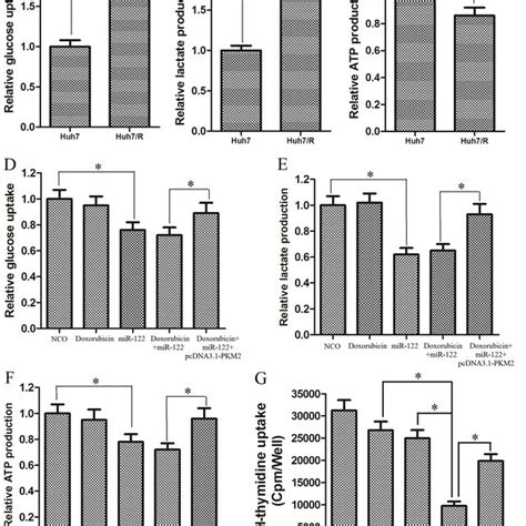 Huh7 R Cells Exhibit Increased Glucose Metabolism Via Mir 122 Pkm2