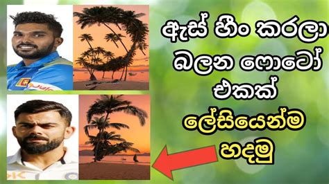 Trending Ai Illusion Photo Editing In 1 Click Free Sinhala Illusion