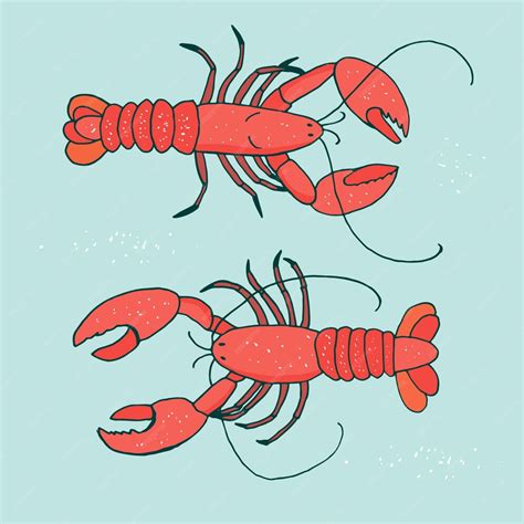 Premium Vector Lobster Sea Animal Vector Illustrations Set