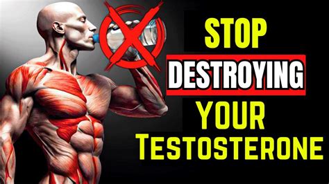 12 Everyday Things KILLING Your Testosterone Level You Must Watch