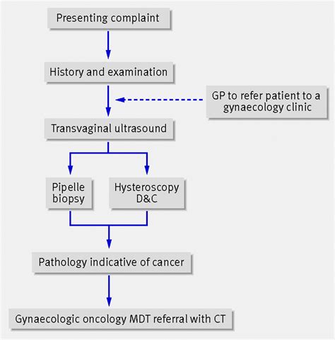 Endometrial Cancer The Bmj